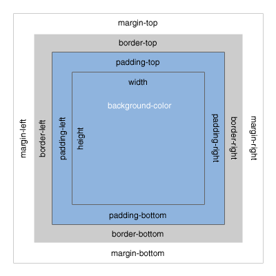 CSS box model